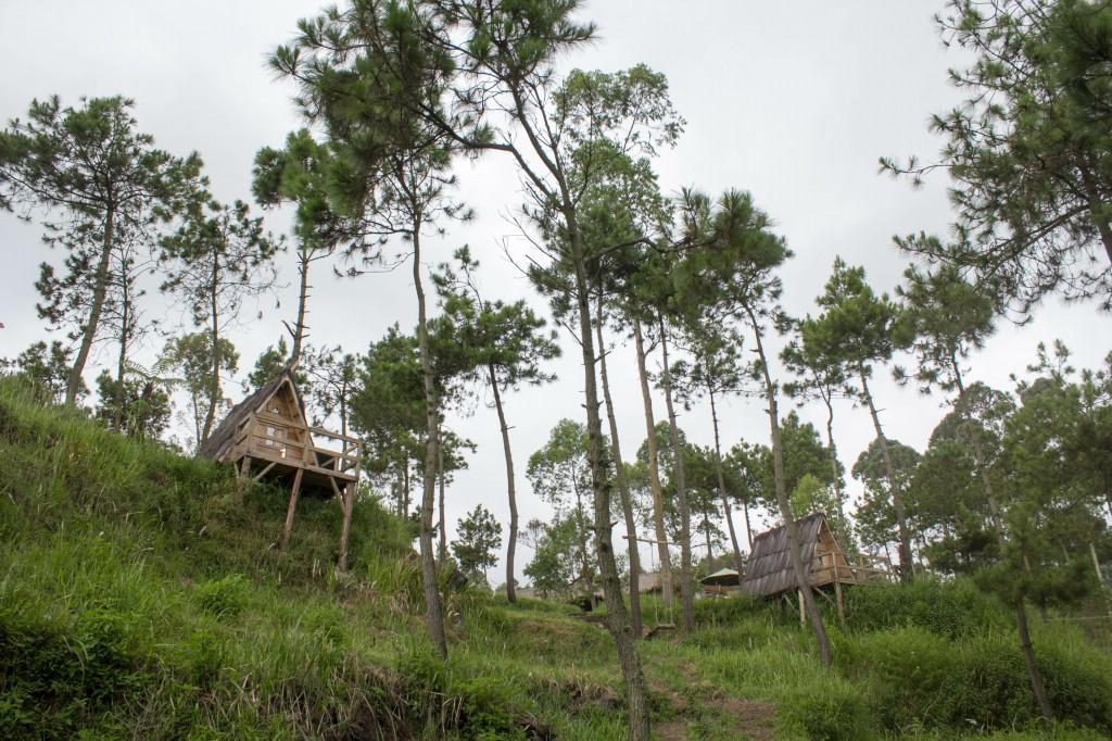 מלון Cileuleuy Papandayan Camping Ground מראה חיצוני תמונה