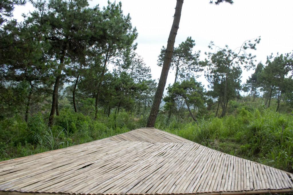 מלון Cileuleuy Papandayan Camping Ground מראה חיצוני תמונה