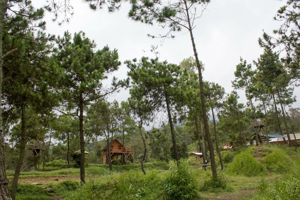 מלון Cileuleuy Papandayan Camping Ground מראה חיצוני תמונה