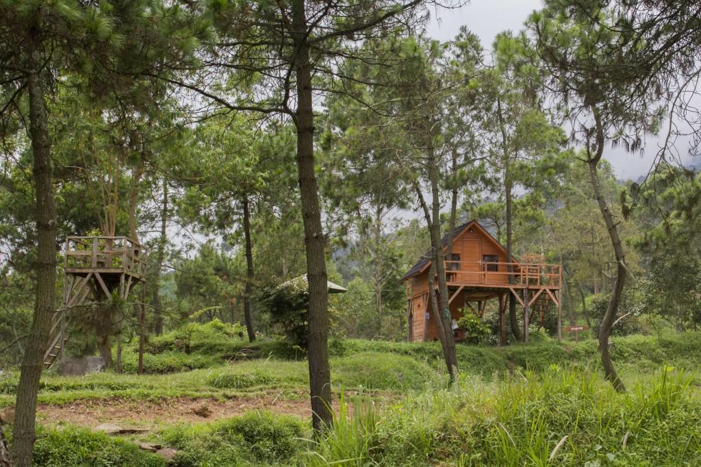 מלון Cileuleuy Papandayan Camping Ground מראה חיצוני תמונה