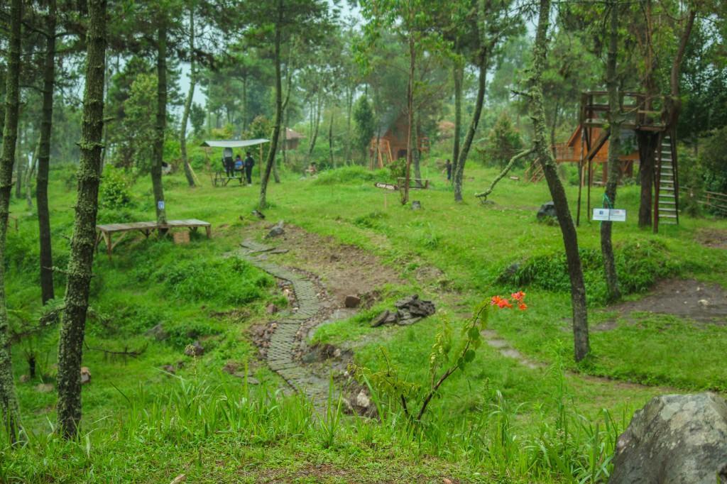 מלון Cileuleuy Papandayan Camping Ground מראה חיצוני תמונה